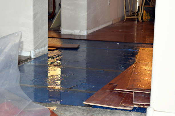 Professional Sewage Cleanup technician working in Cecil, WI